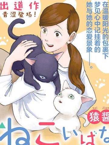 猫恋话物语为什么适合做同类推荐