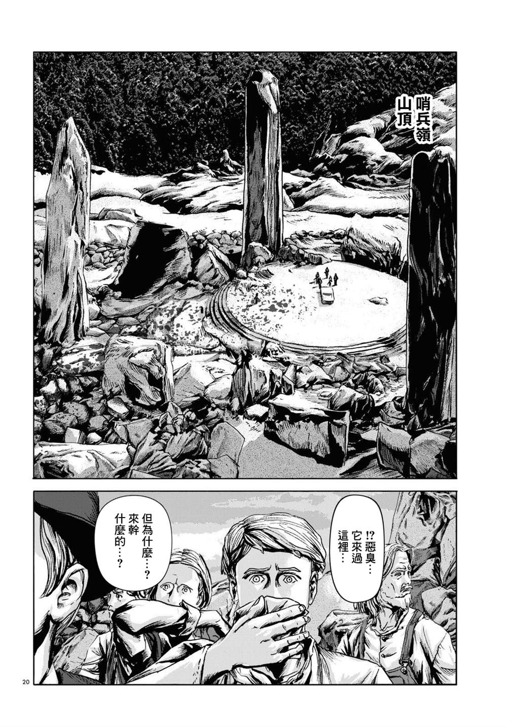 第20页
