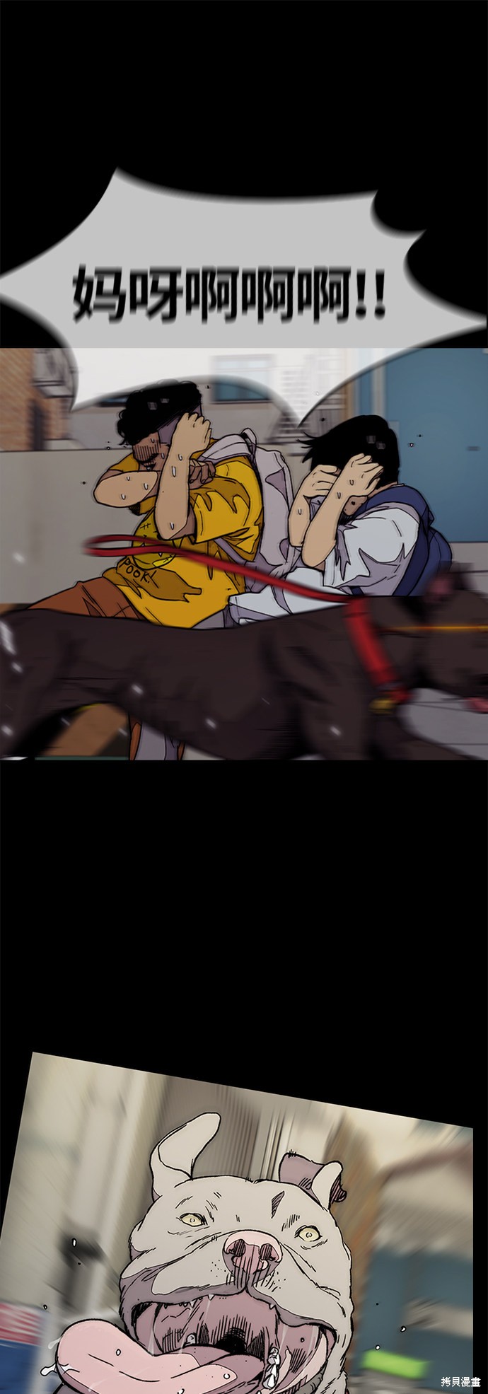 第62页