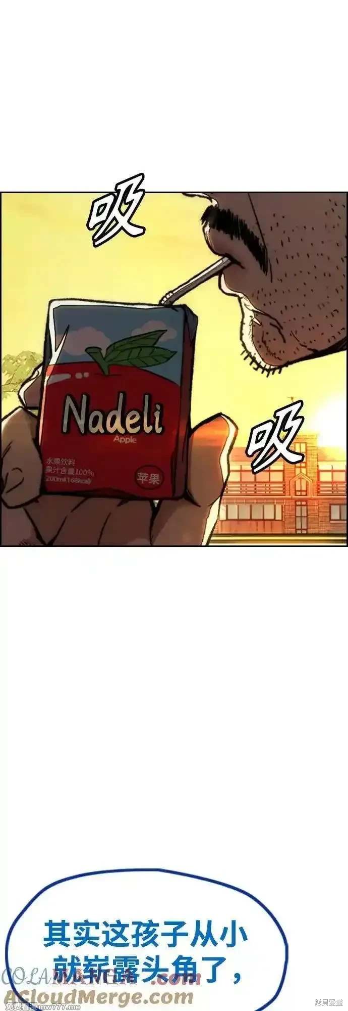第113页