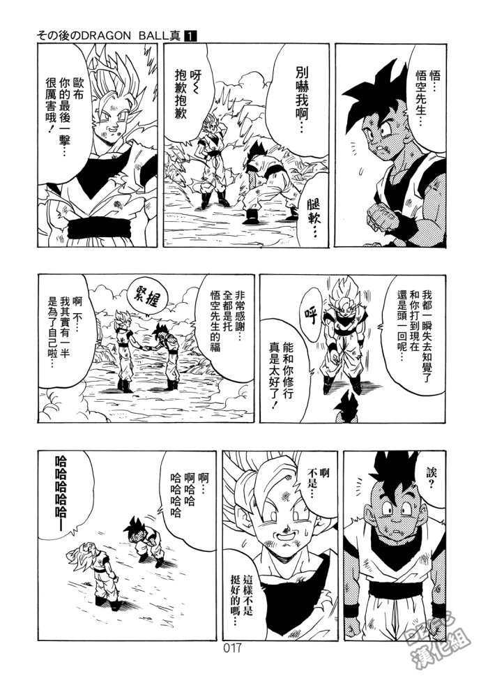 第17页