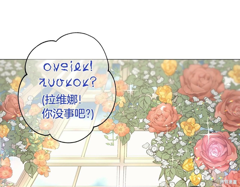 第231页