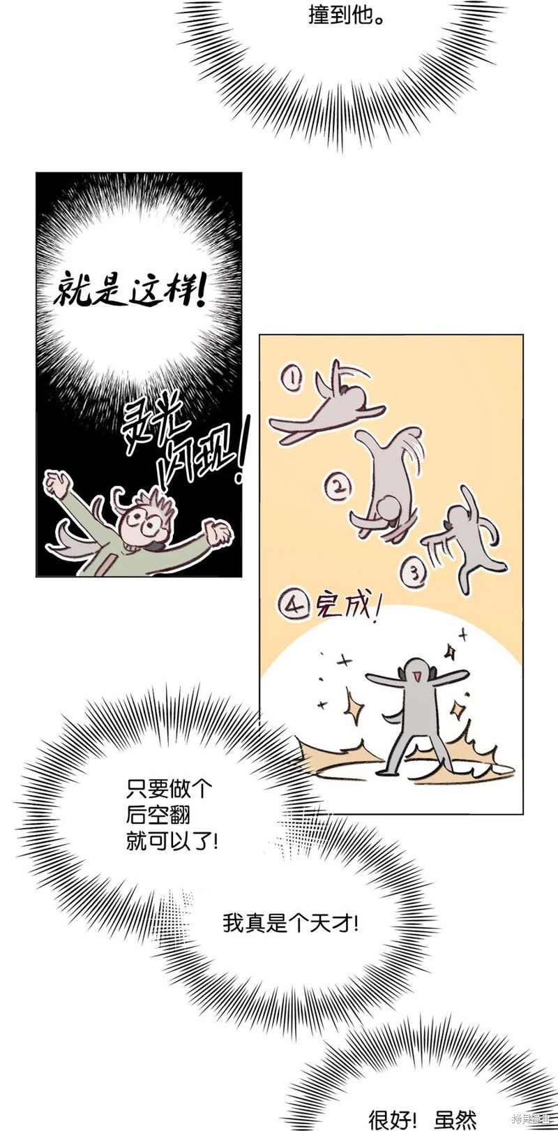 第43页
