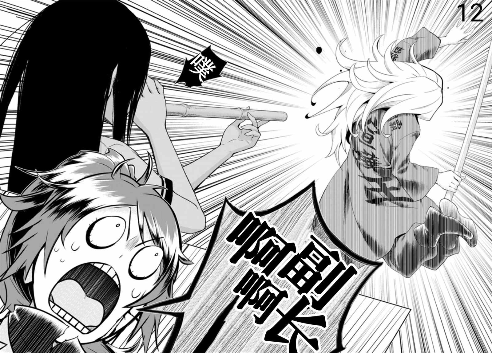第12页