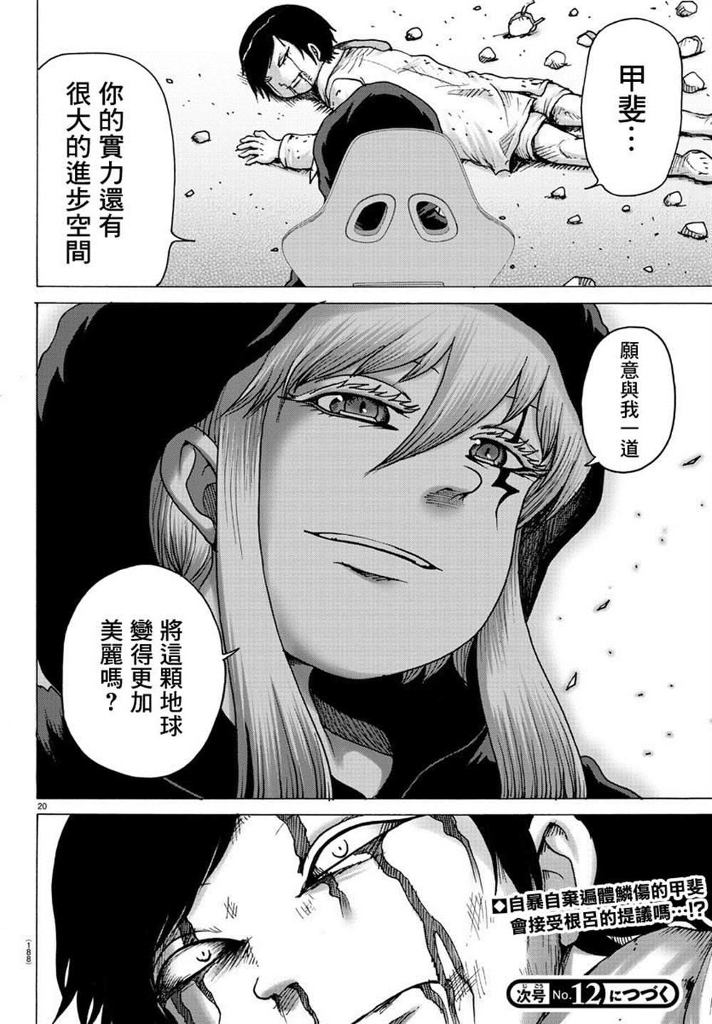 第20页