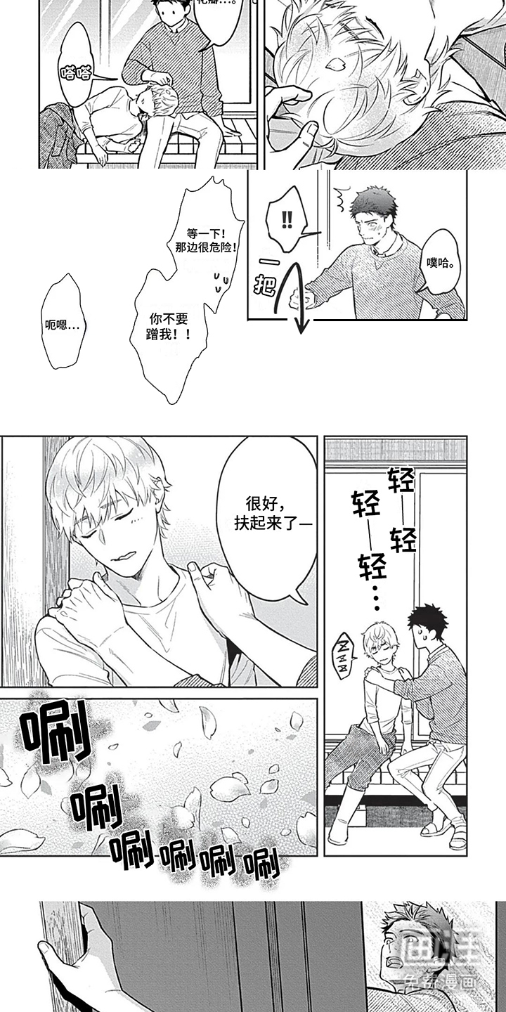 第3页
