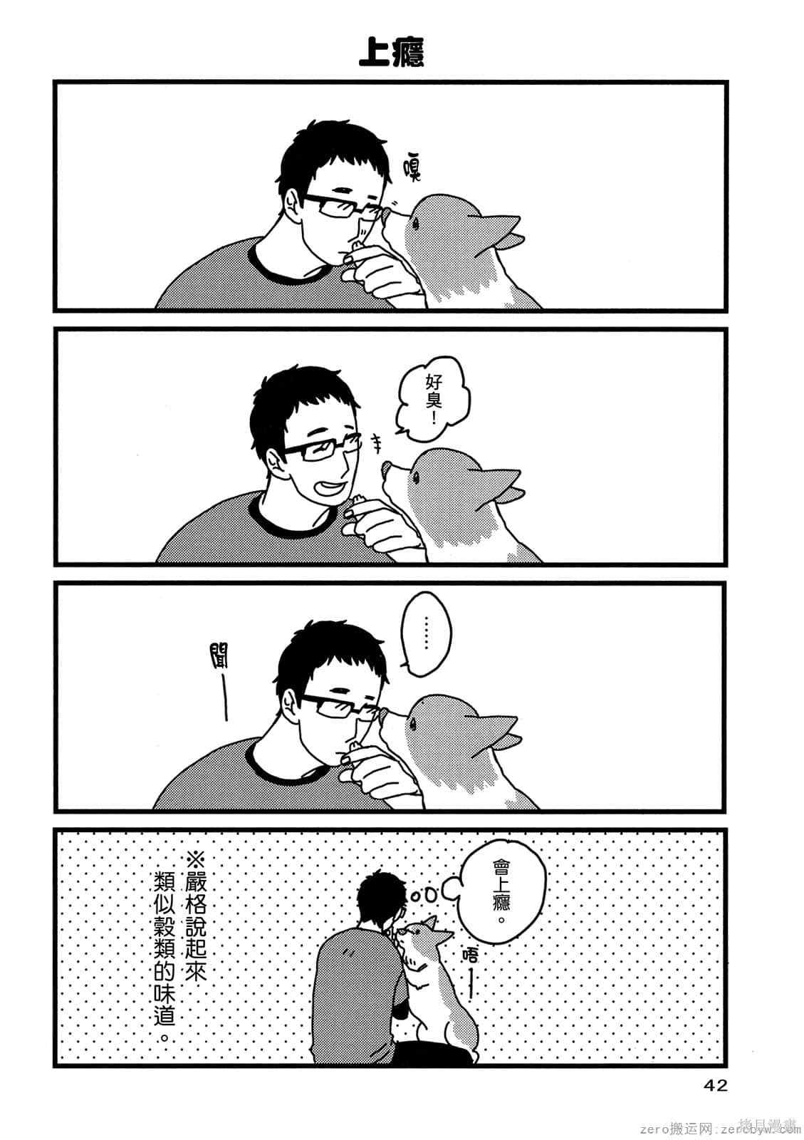 第43页