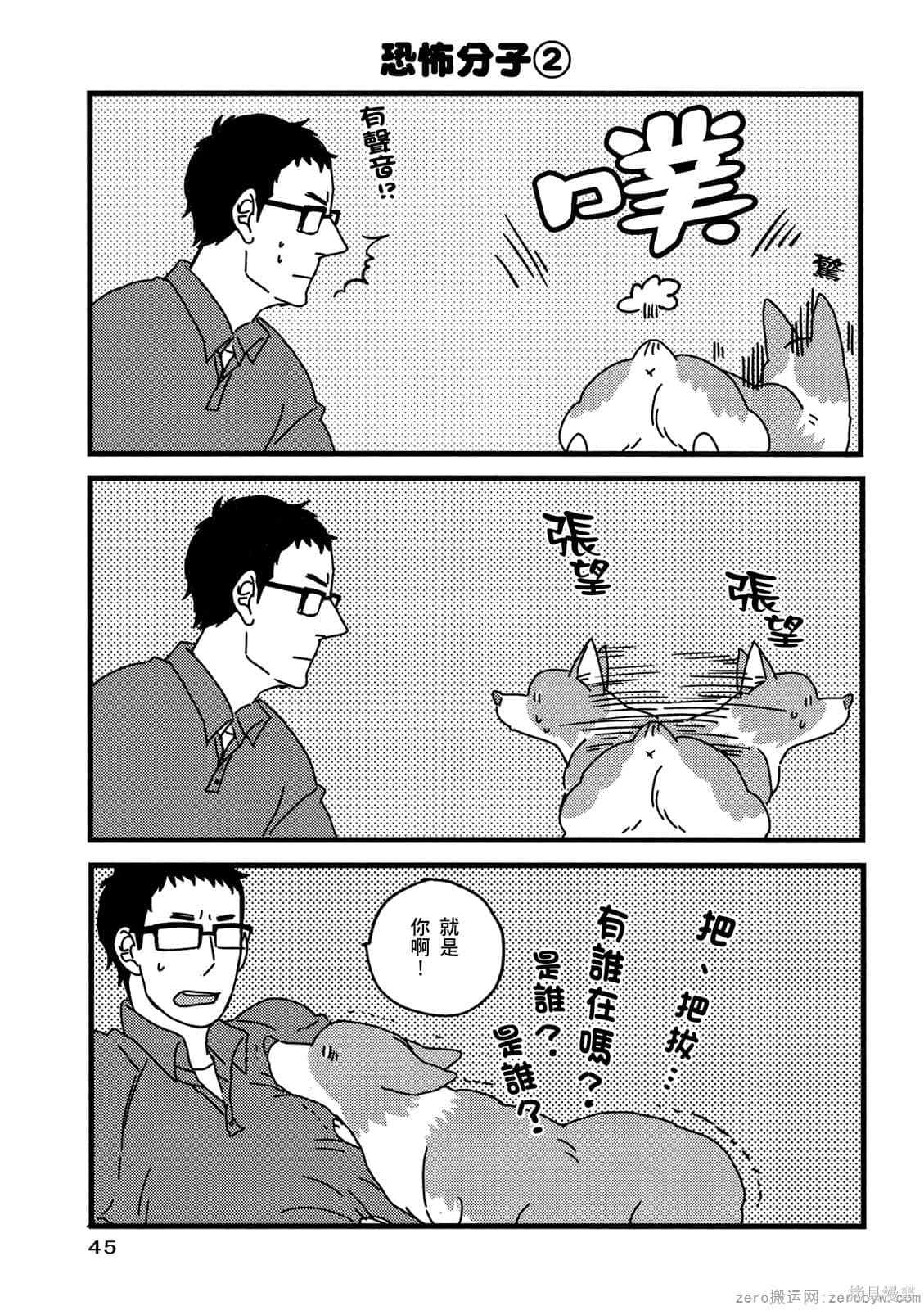 第46页
