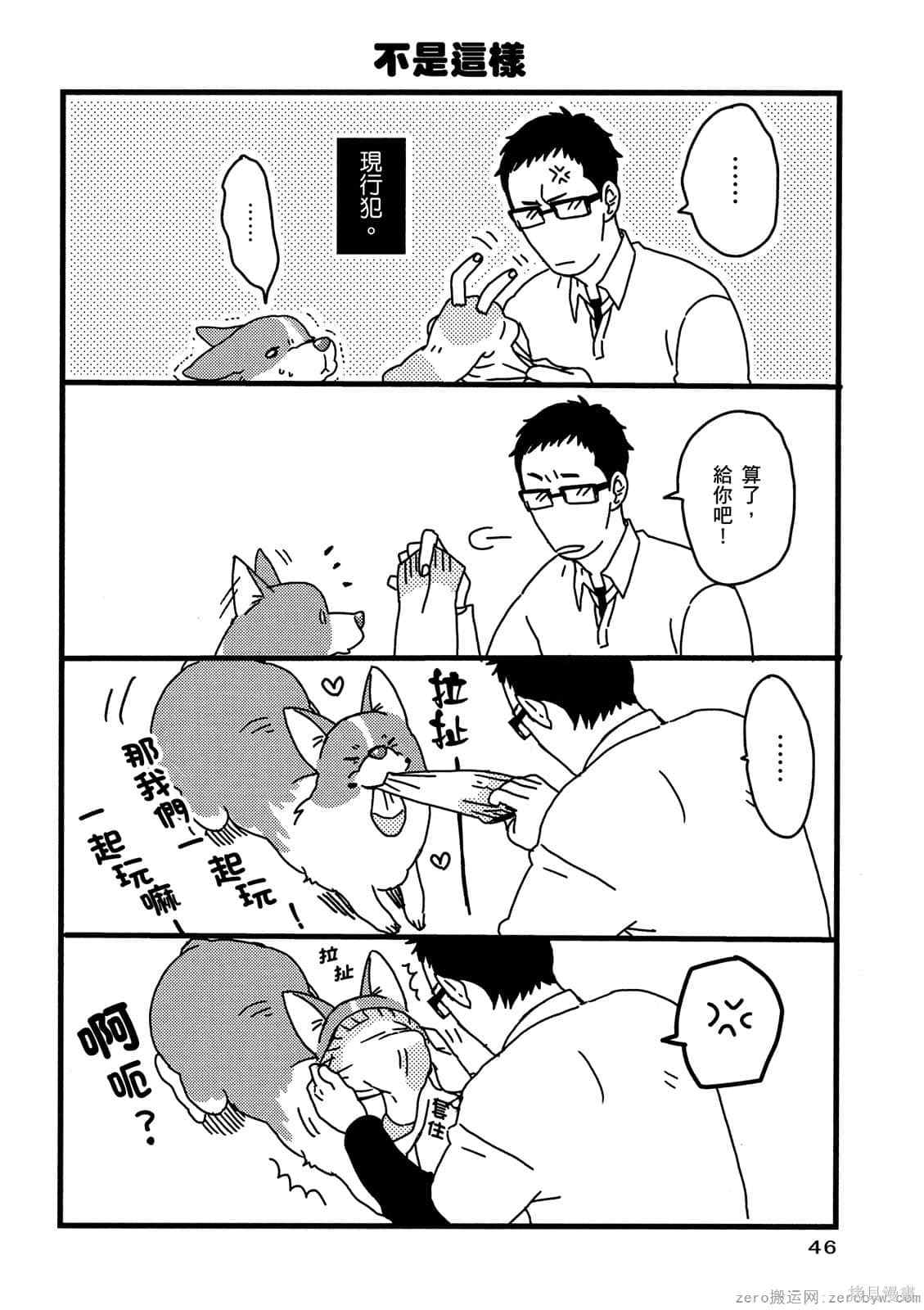 第47页