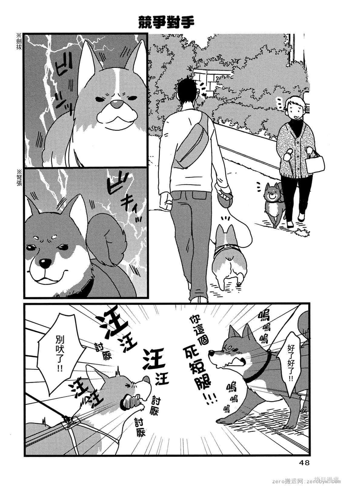第49页