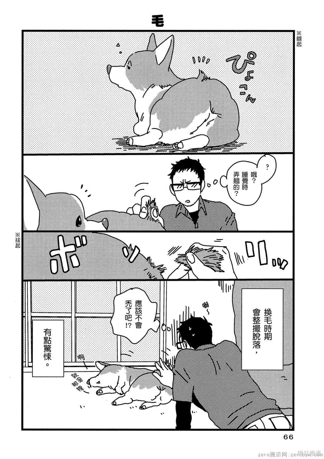 第67页