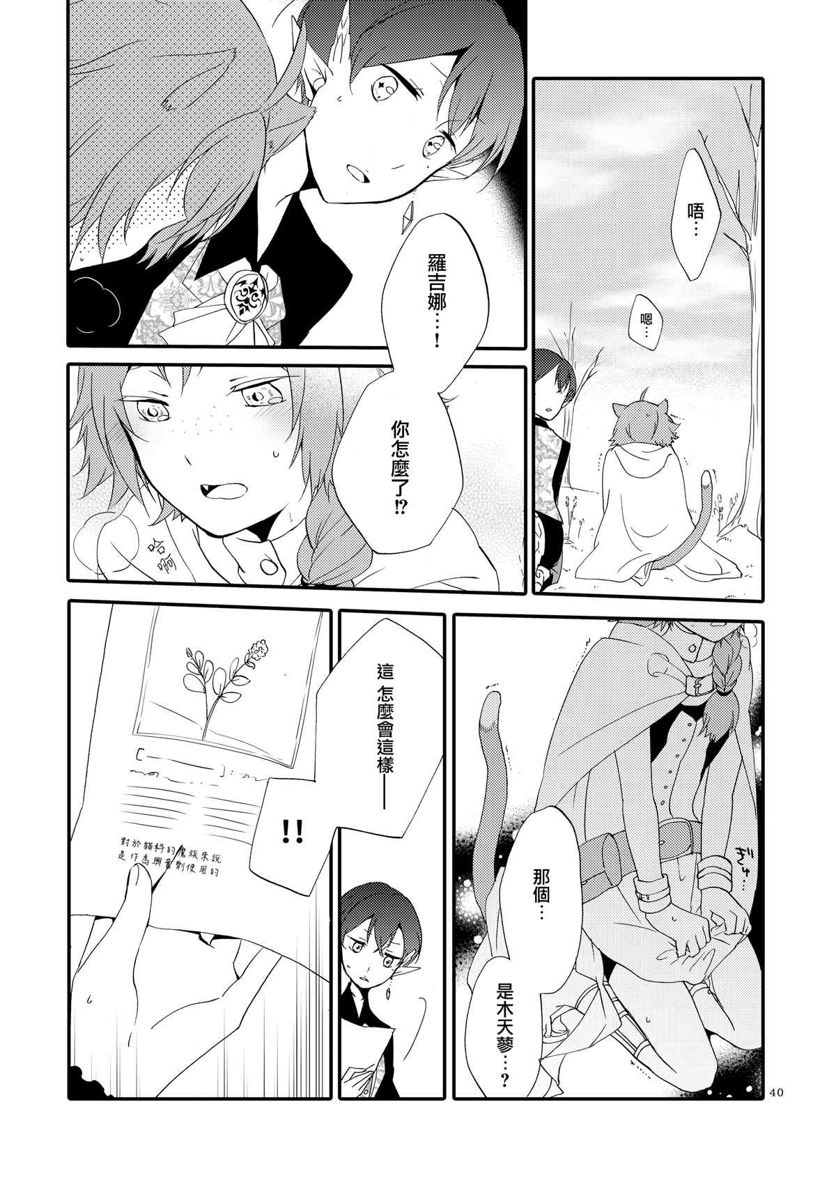 第40页