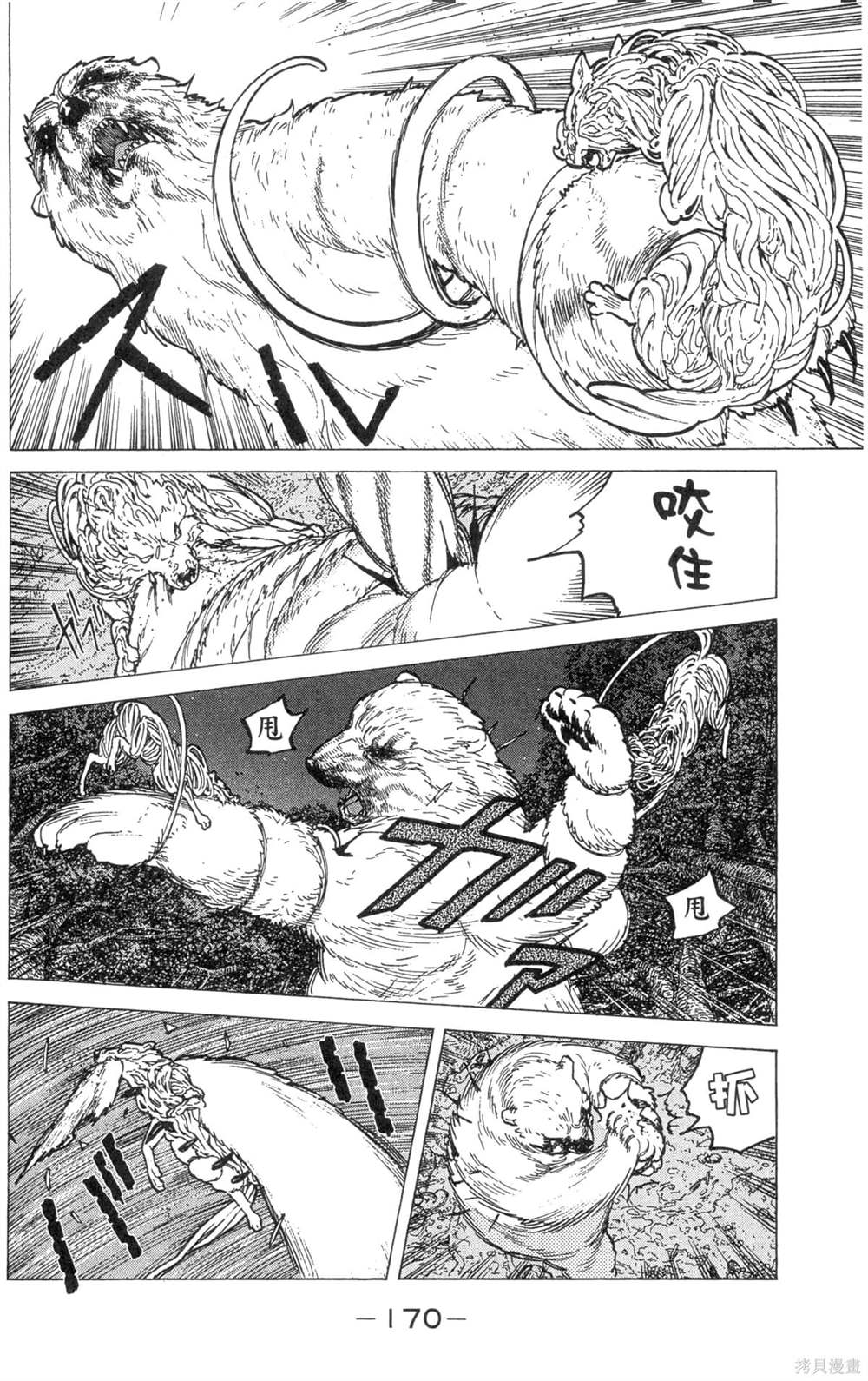 第170页