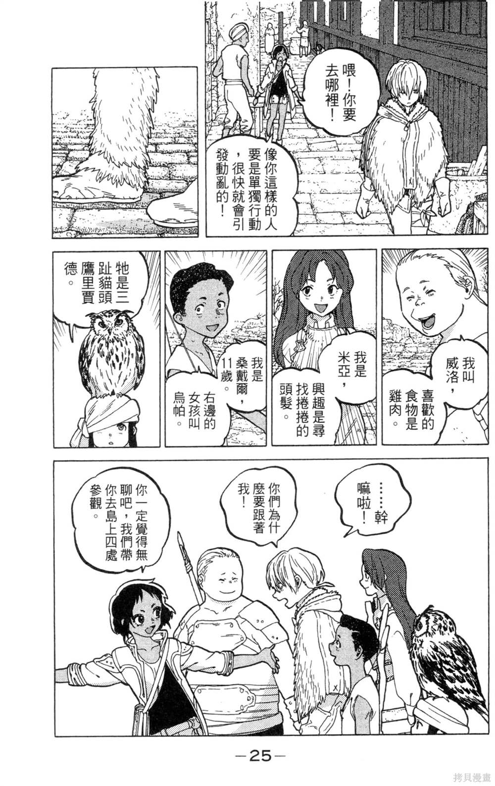 第25页
