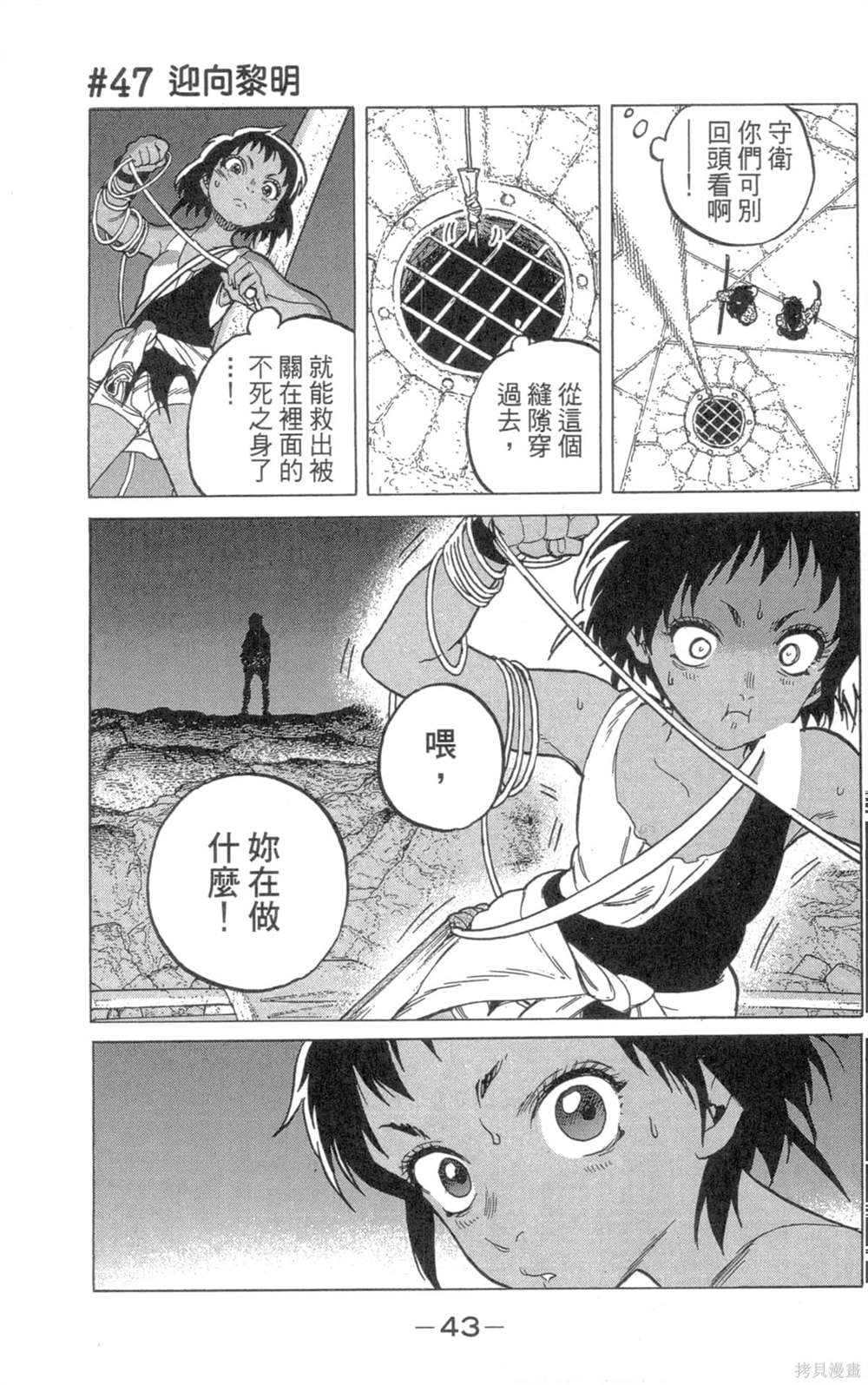 第43页