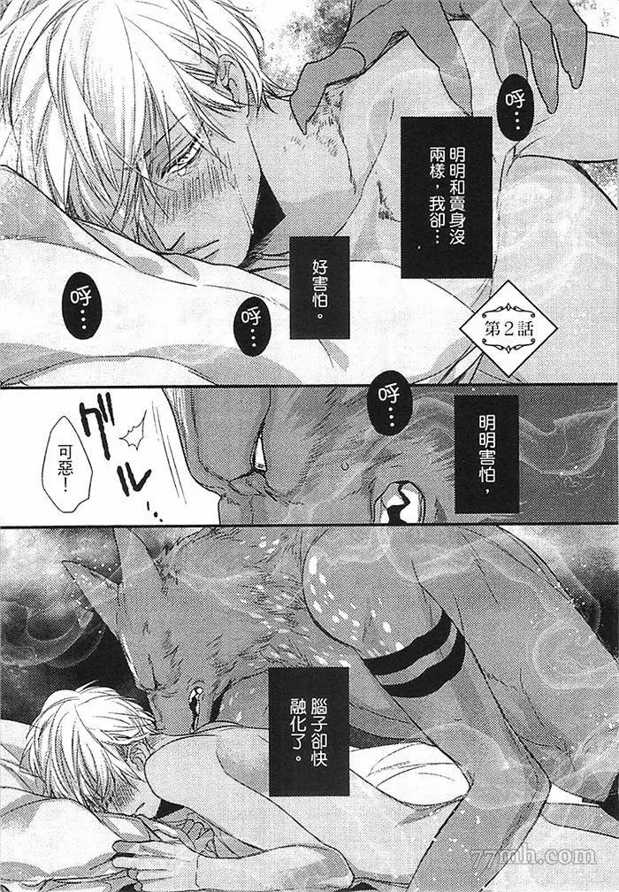 第51页
