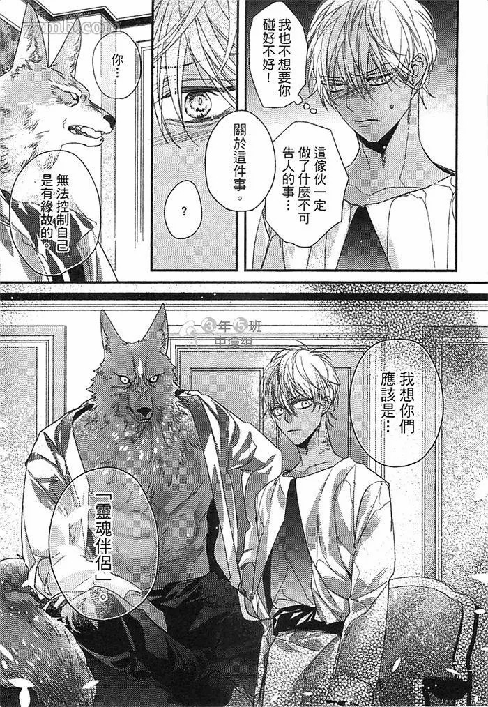 第81页