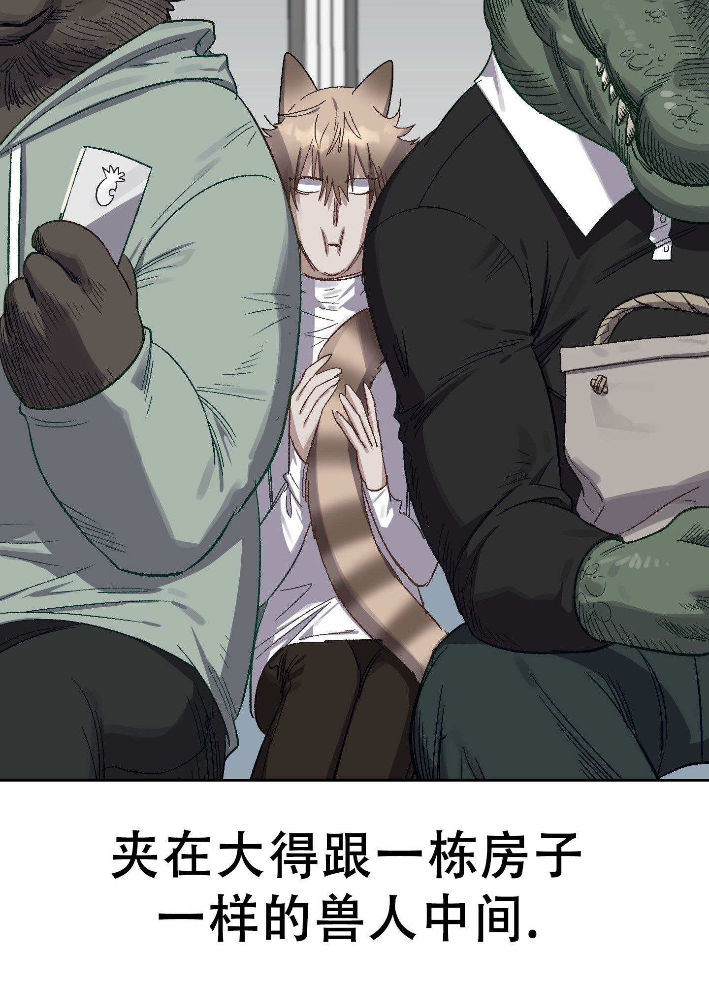 第43页