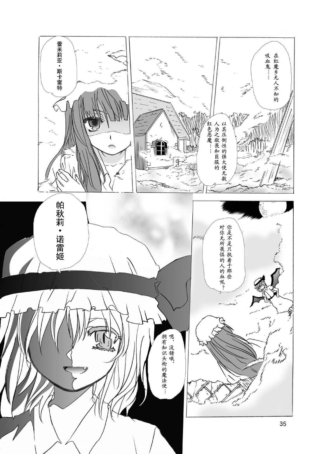 第33页