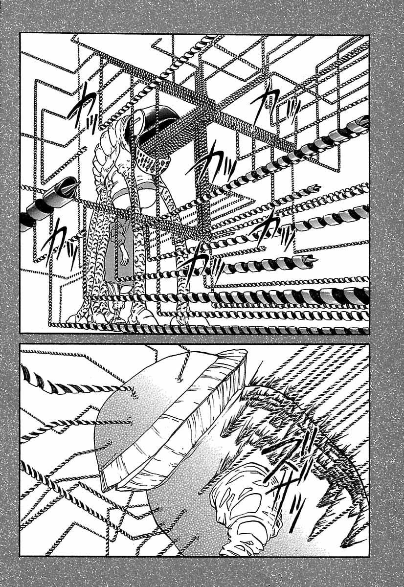 第207页