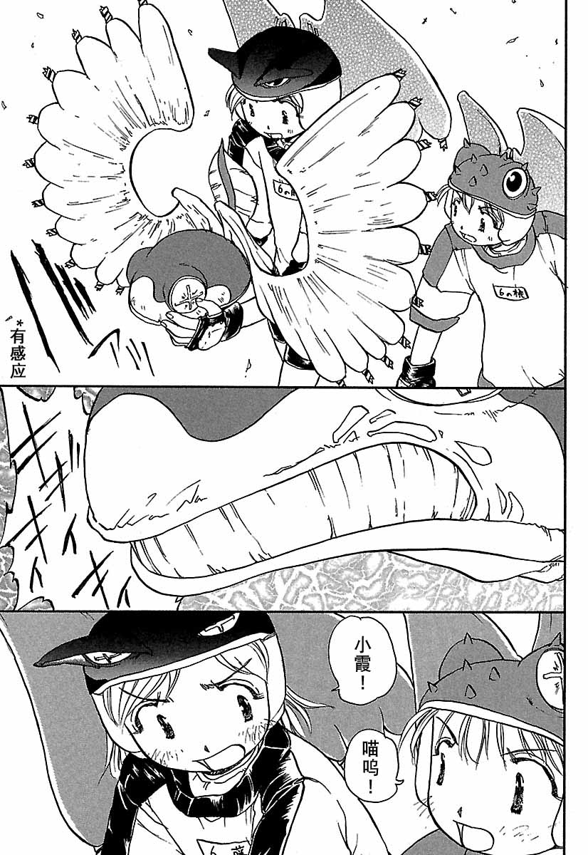 第216页