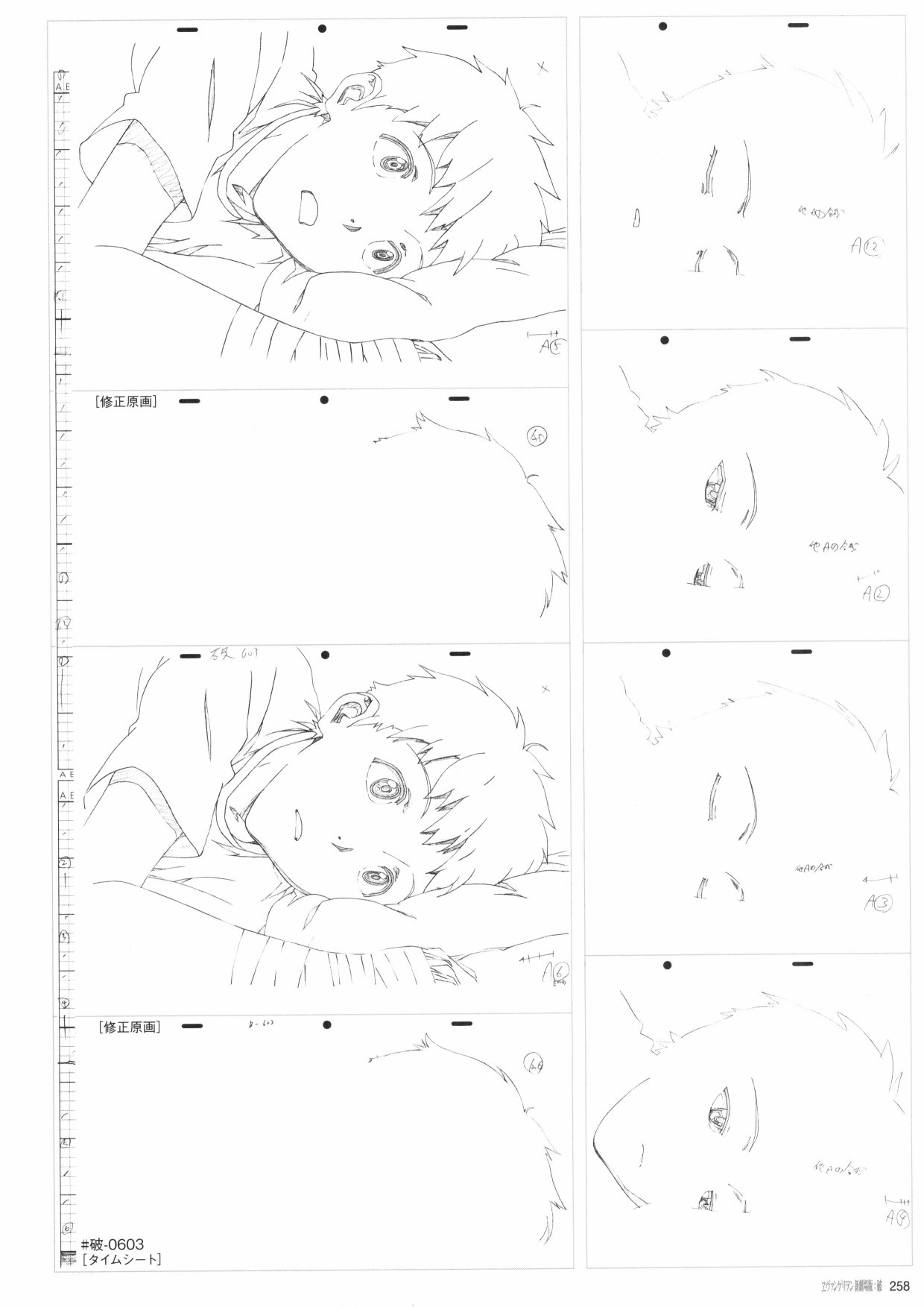 第260页