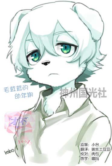 第43页