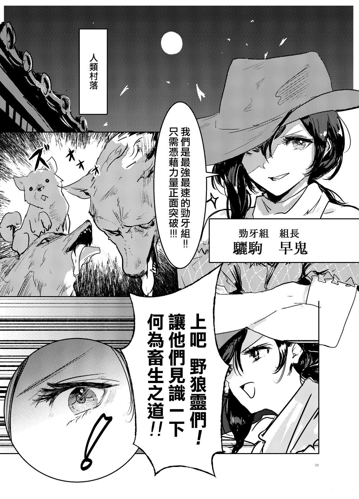 第20页