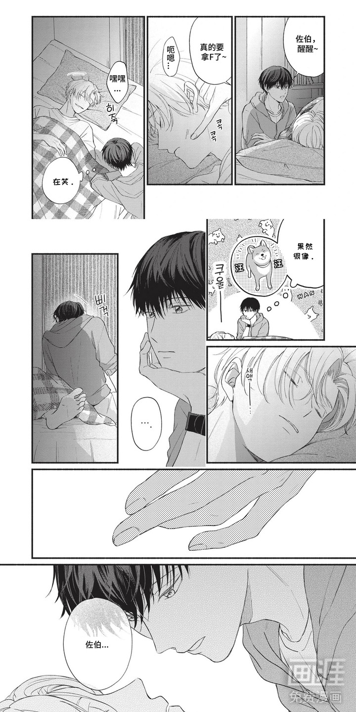 第11页