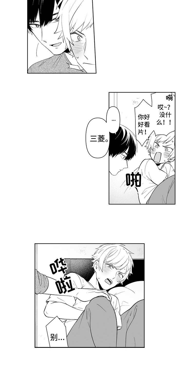 第11页
