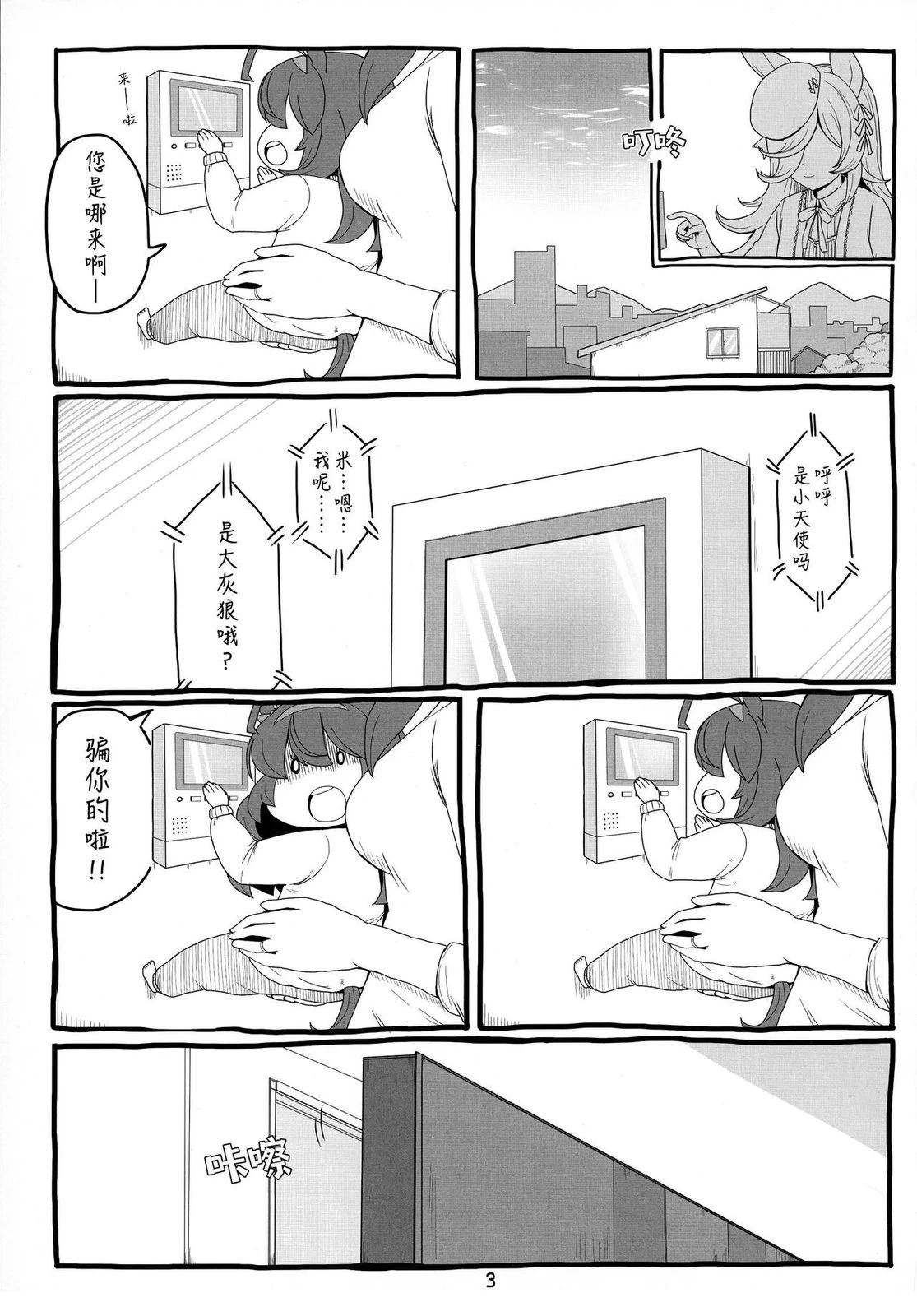 第3页