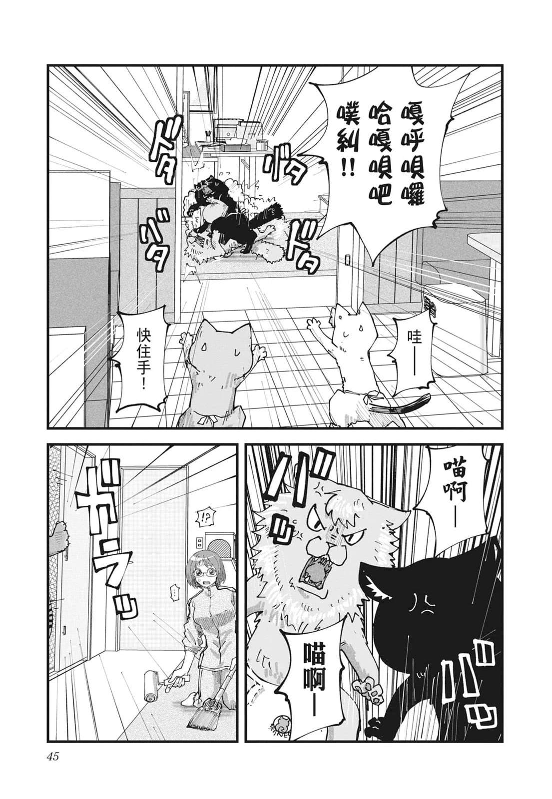 第47页