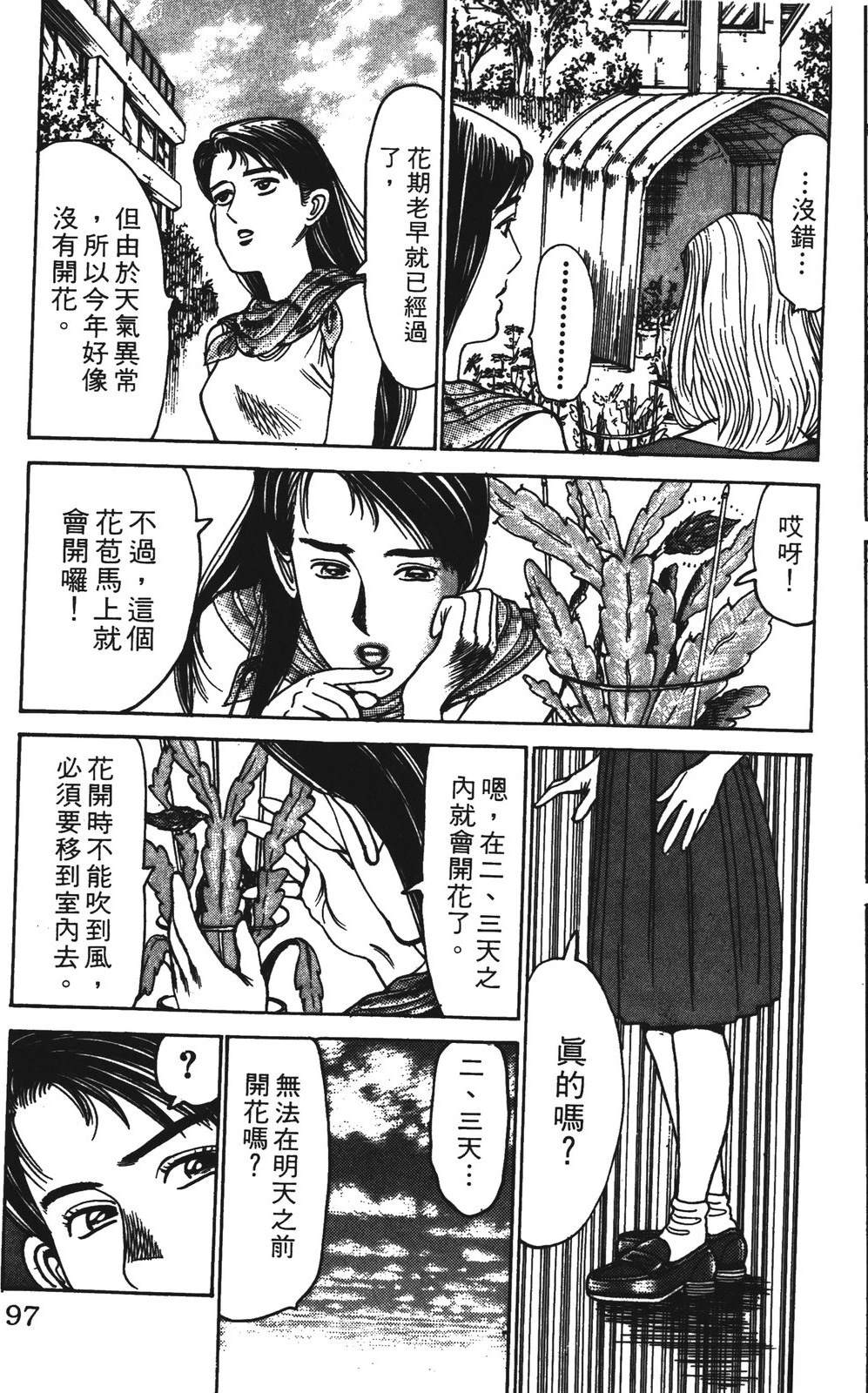 第97页