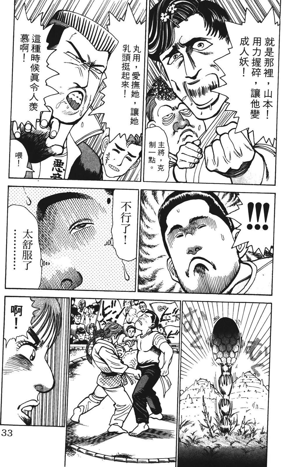 第33页