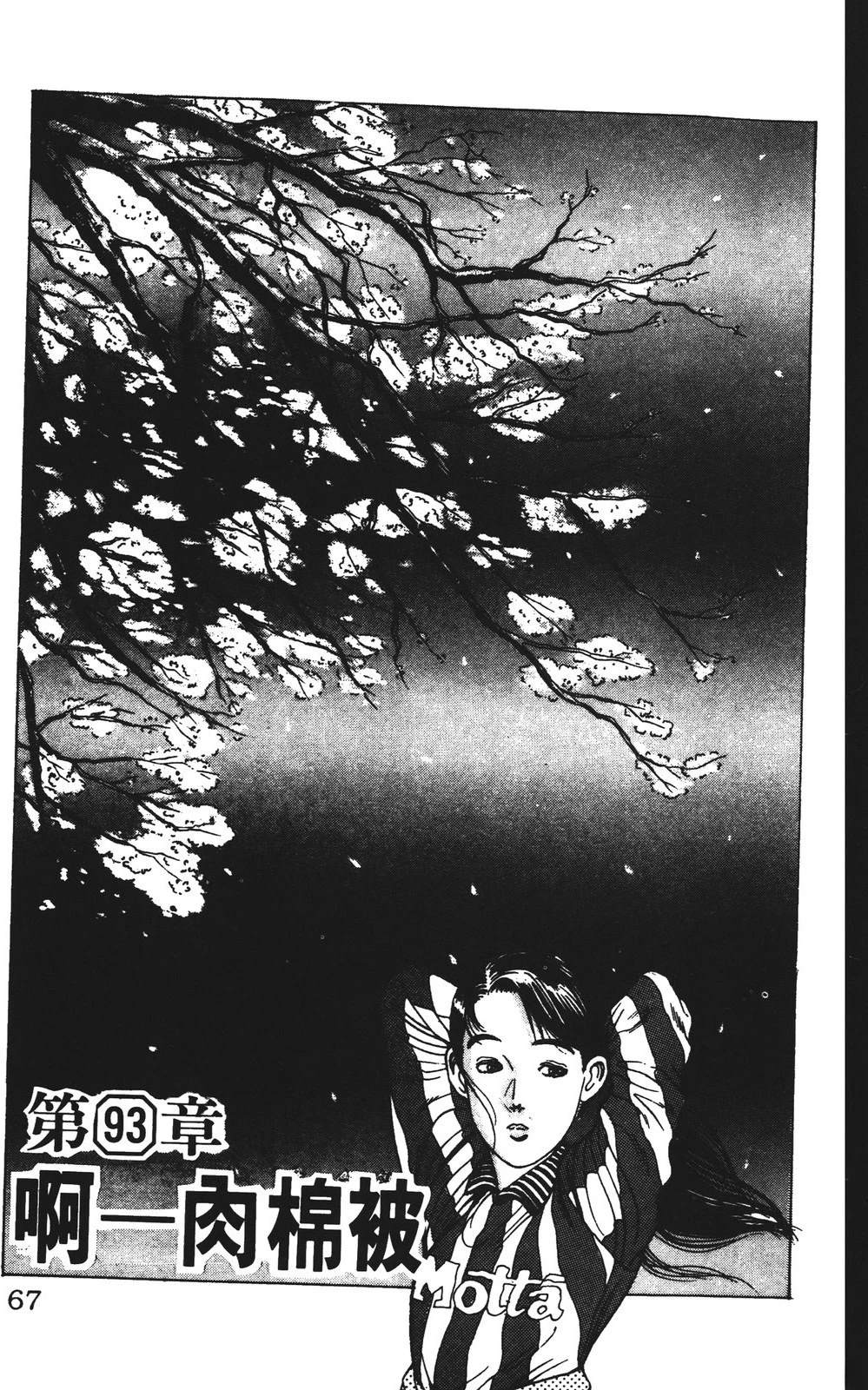 第67页