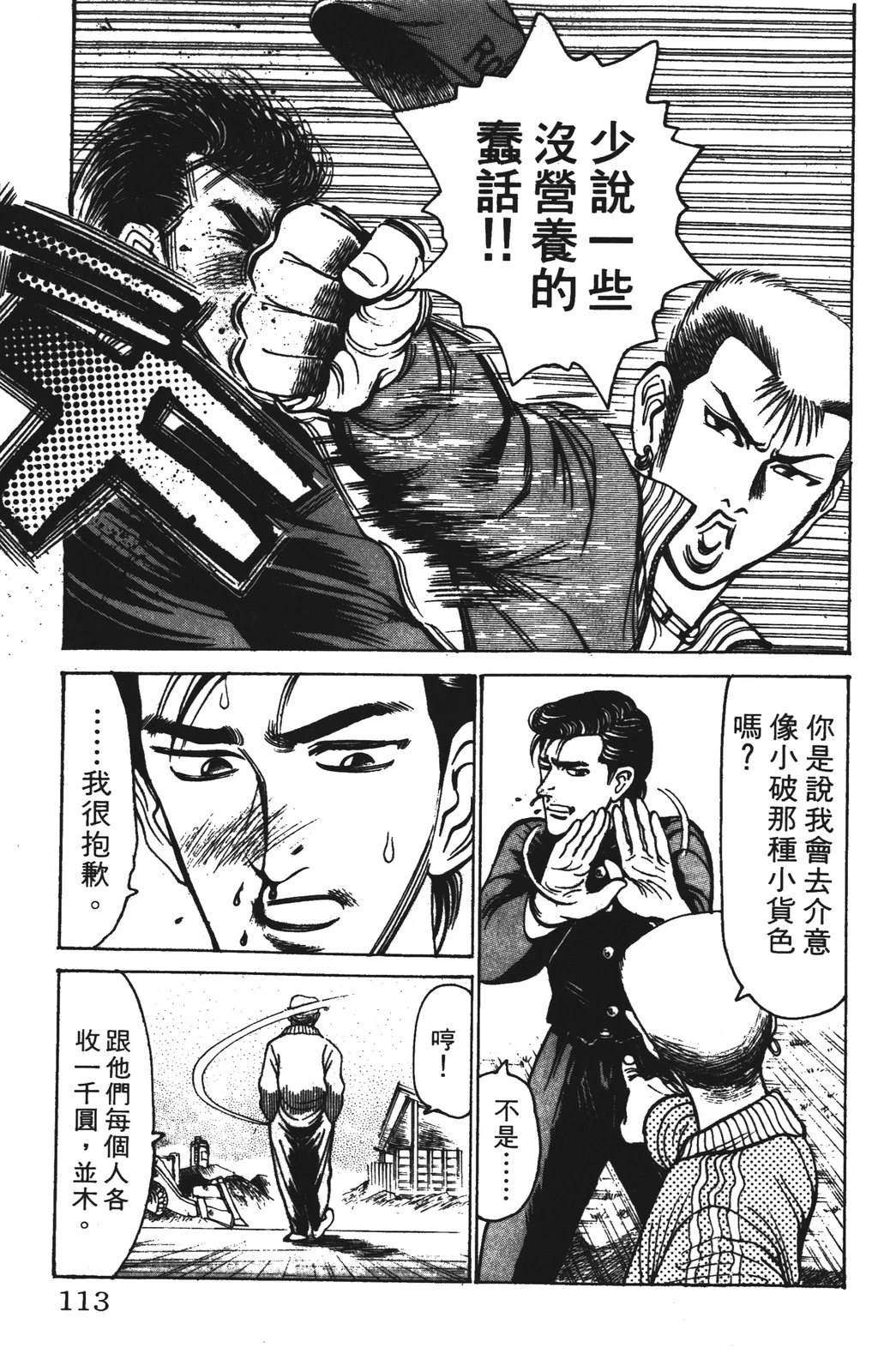 第113页