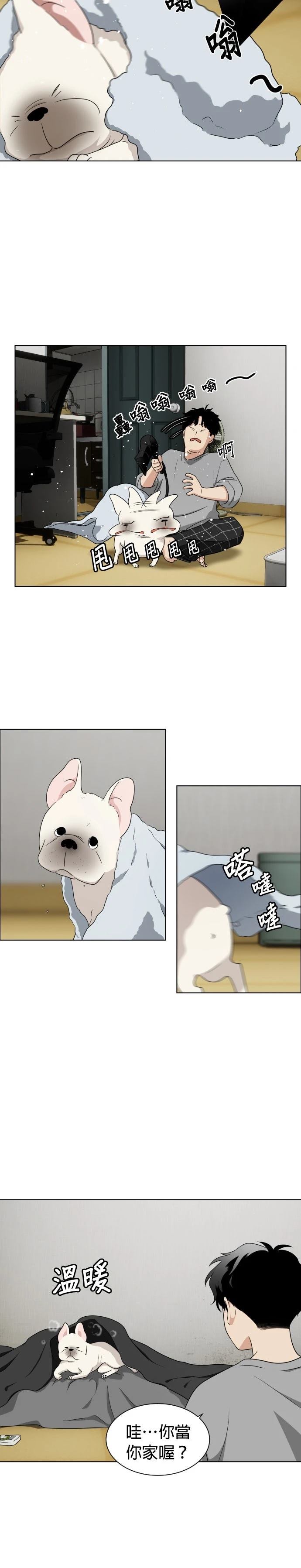 第84页
