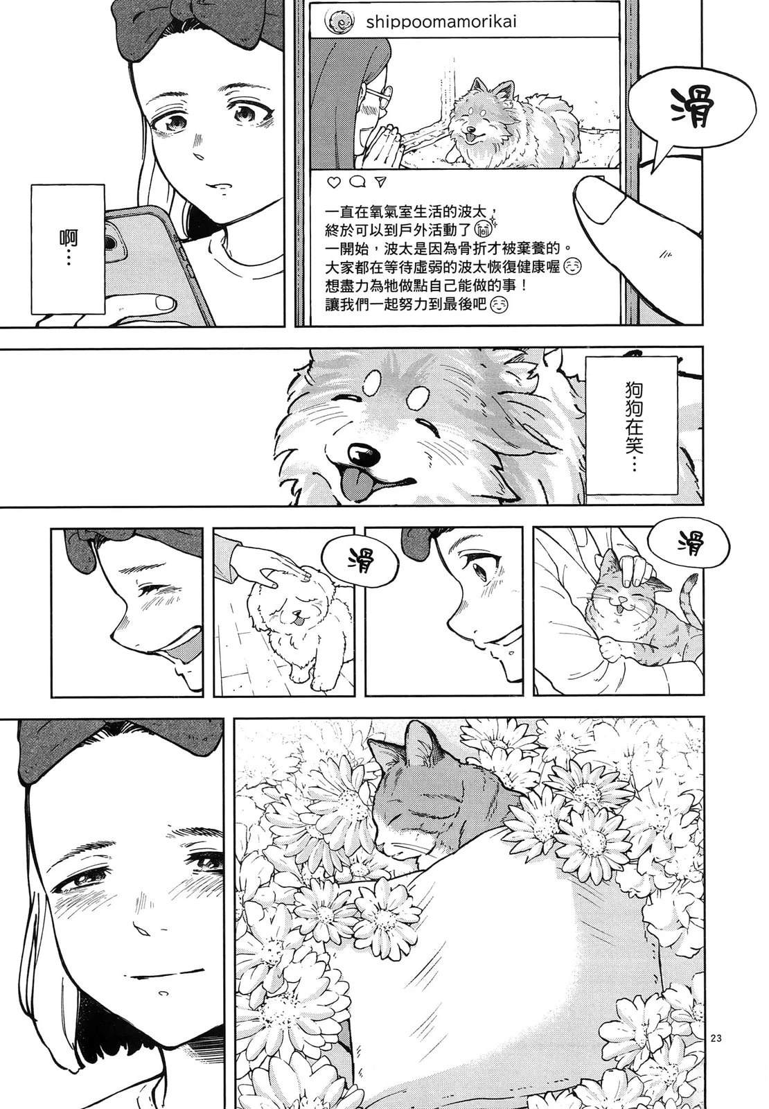 第113页