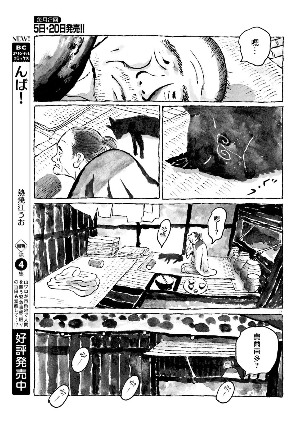 第17页