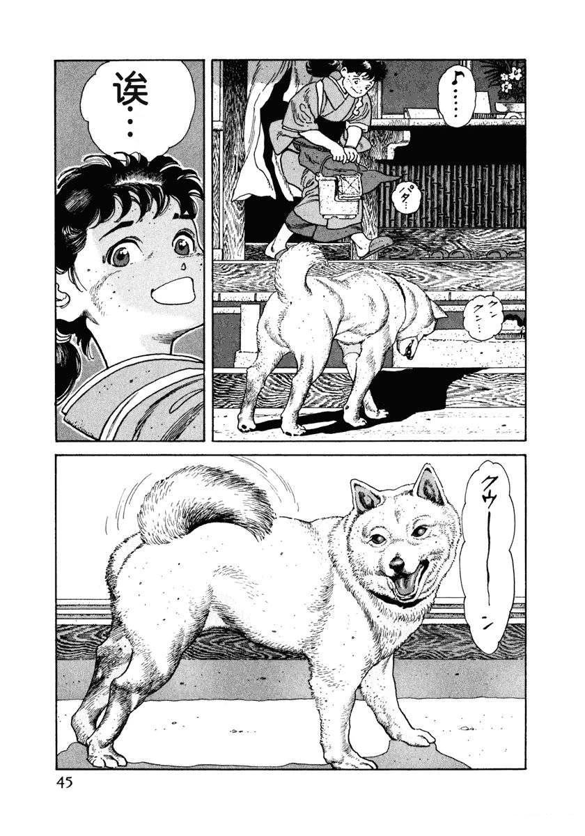 第51页