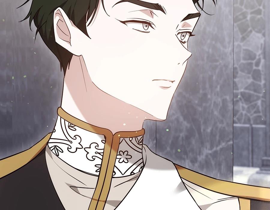 第223页