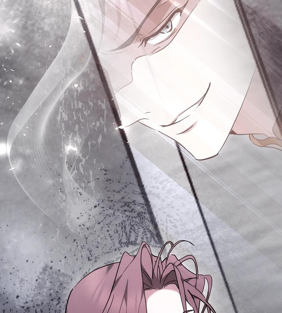 第244页