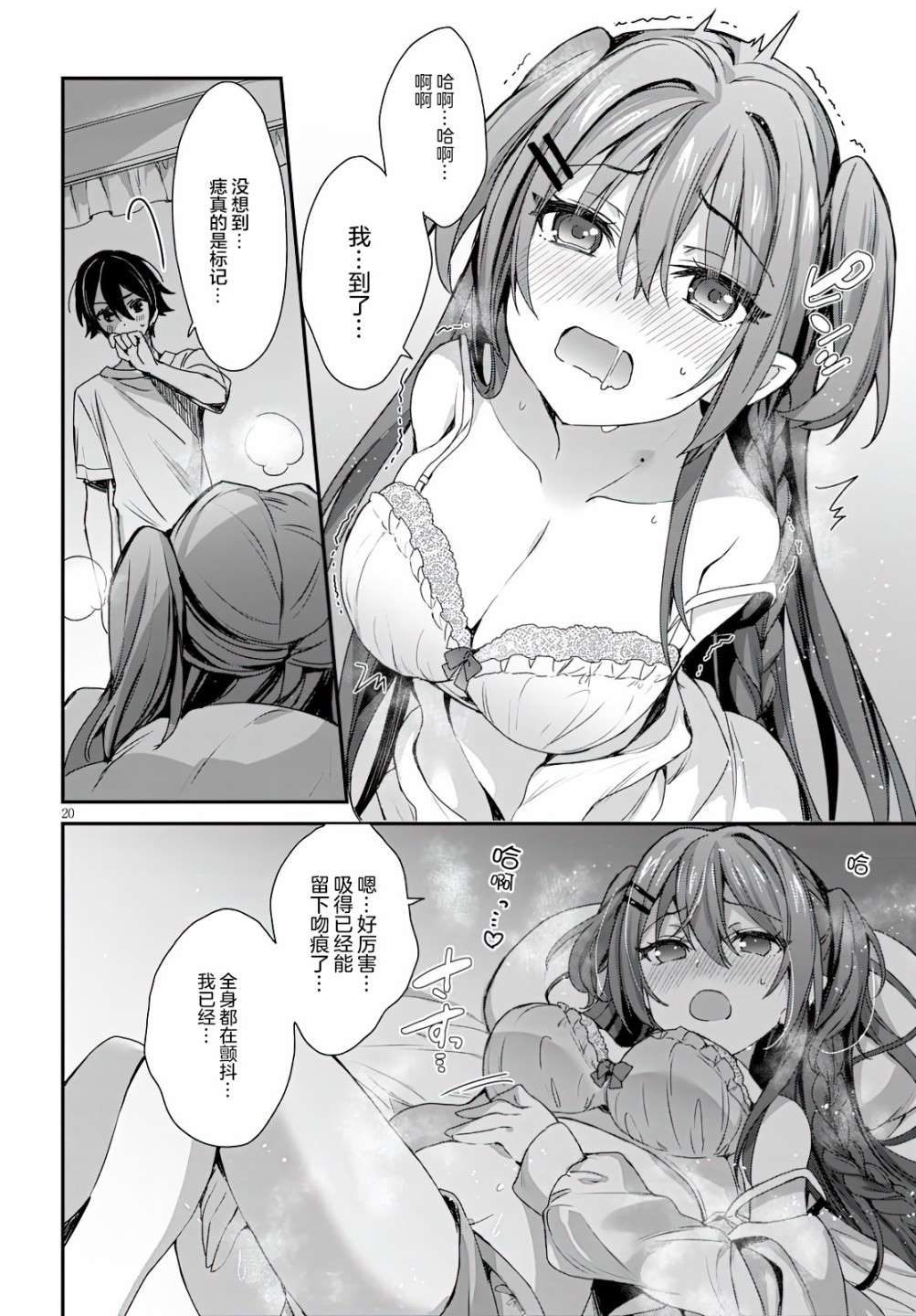 第20页