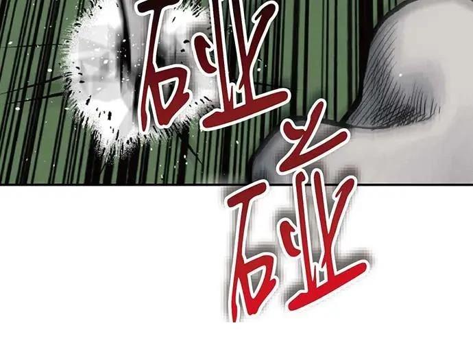 第223页