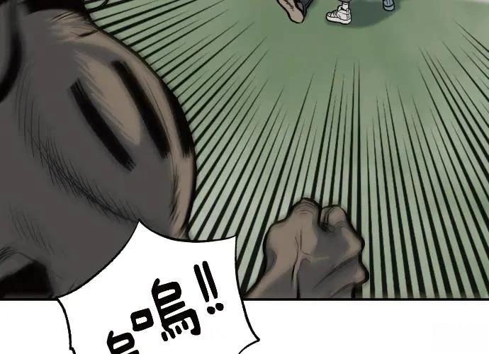 第242页