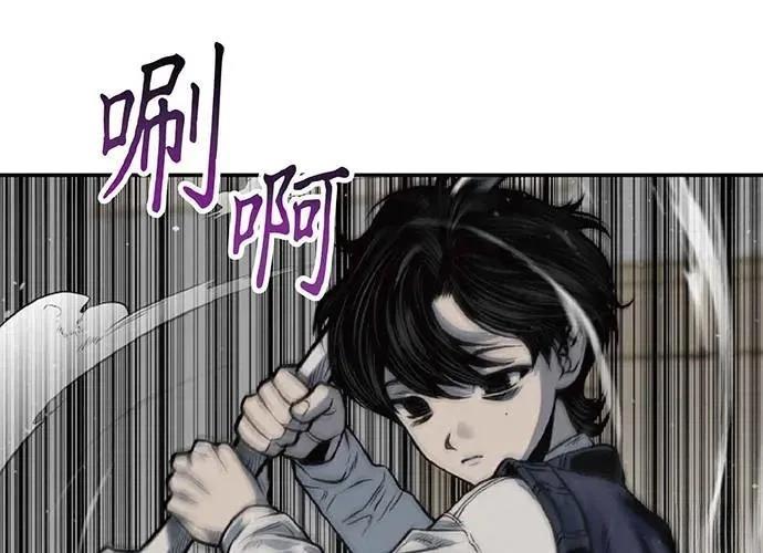 第333页