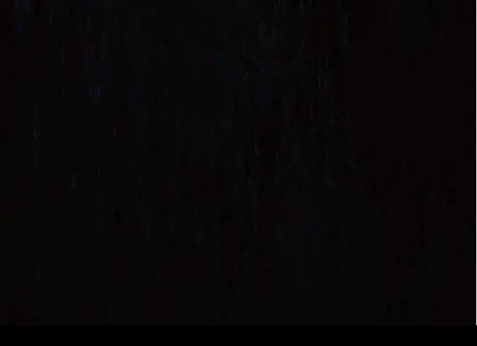 第317页