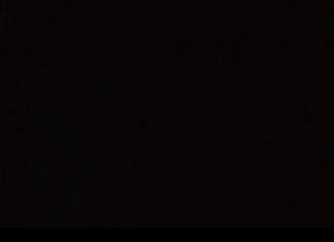 第331页