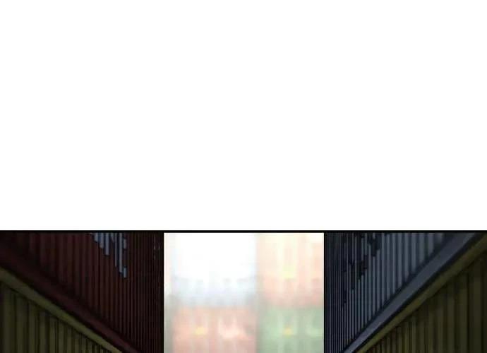 第239页