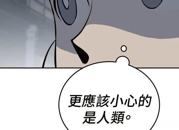 第243页